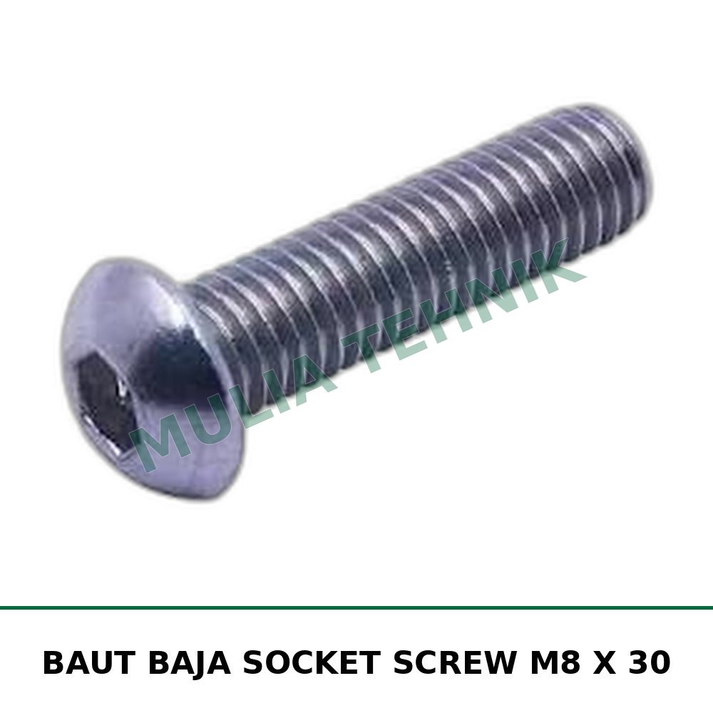 BAUT BAJA SOCKET SCREW M8 X 30