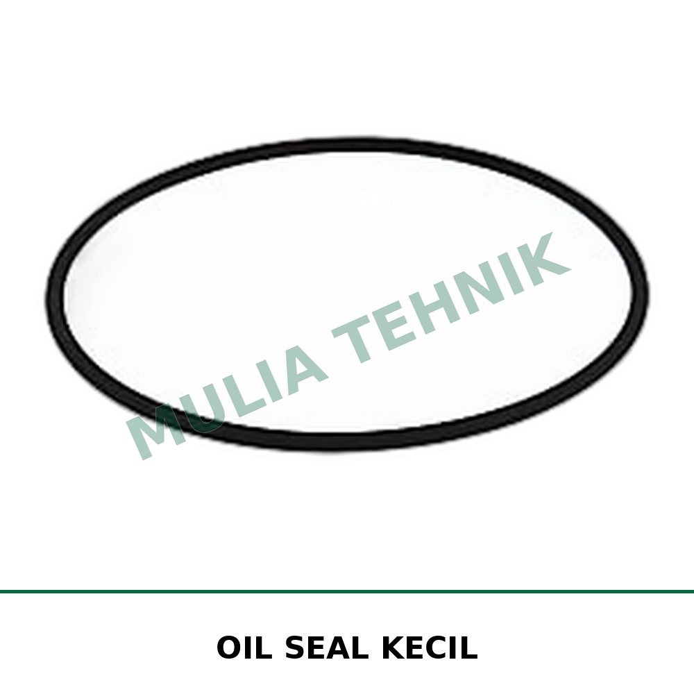OIL SEAL KECIL
