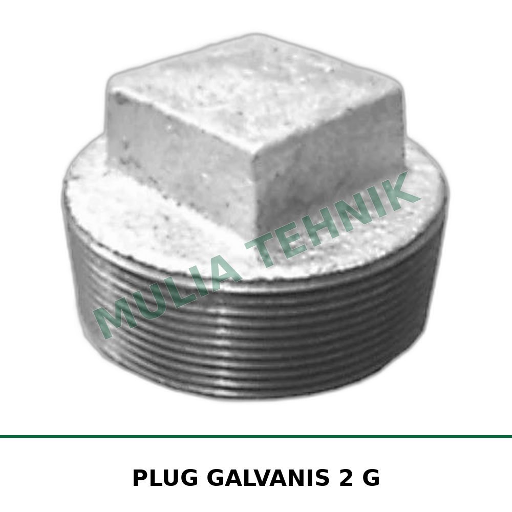 PLUG GALVANIS 2 G